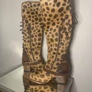 FREEBIRD by Steve Leopard Knee High Boot NEW